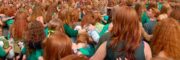 giant group of redheads ginger parrot